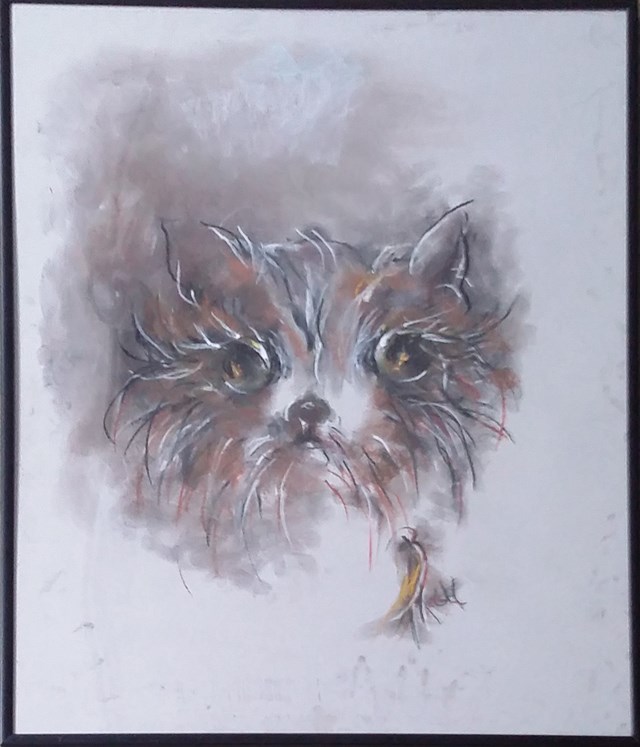 Obraz do salonu artysty Bożena Wahl pod tytułem Portret kotka - z cyklu portrety zwierząt 045