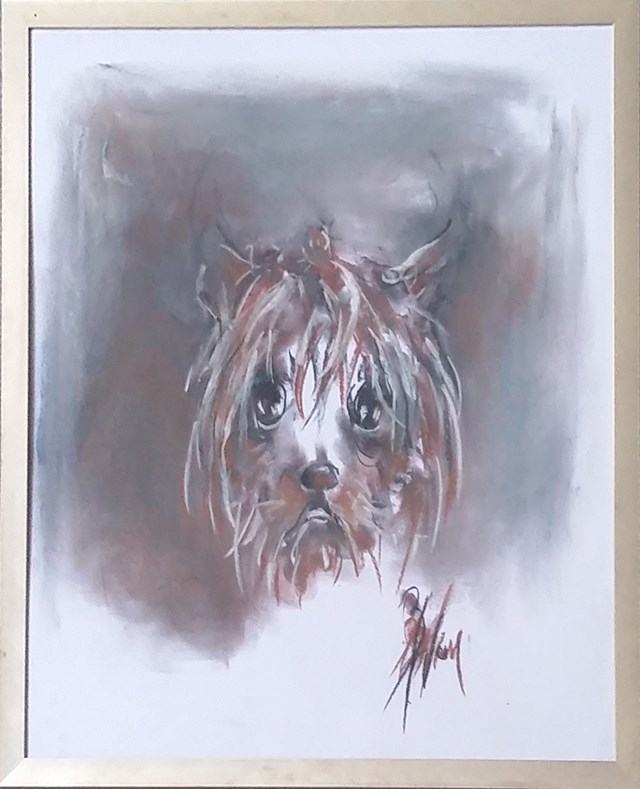 Living room painting by Bożena Wahl titled Dog portrait - from the animal portraits series 051