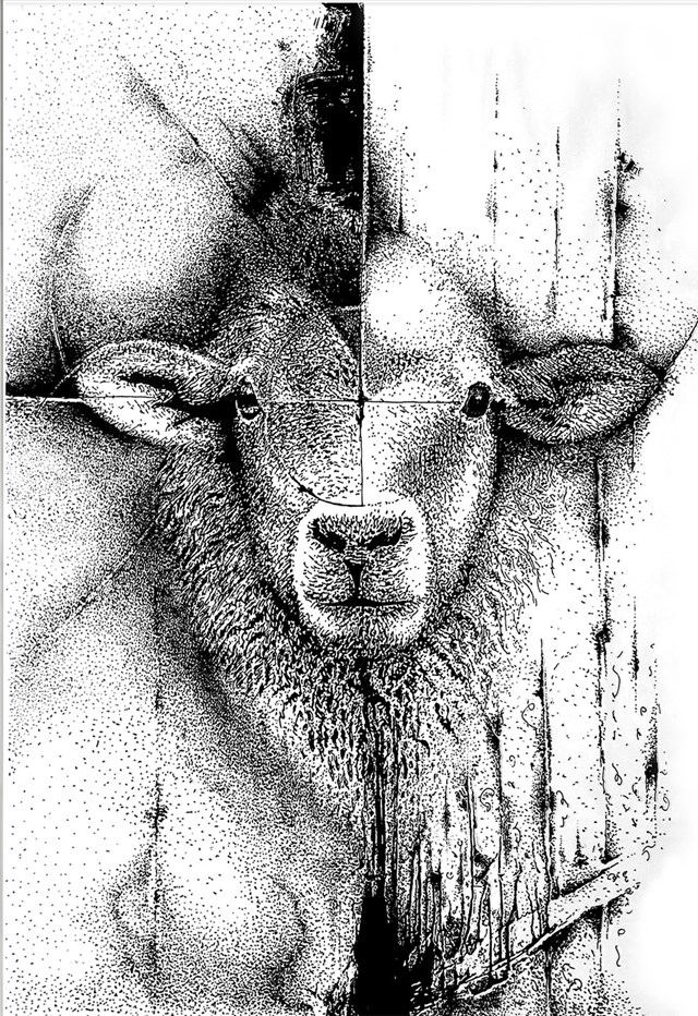Grafika do salonu artysty Marcin Gławdel pod tytułem owca
