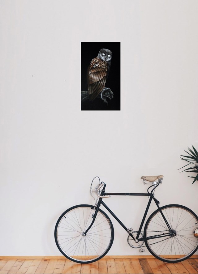Barn owl - visualisation by Emil Goś