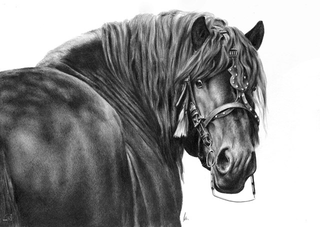 Obraz do salonu artysty Magdalena Muraszko-Kowalska pod tytułem Odświętny koń w pracy.