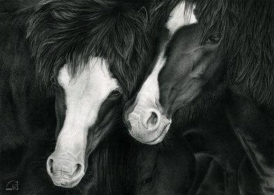 Obraz do salonu artysty Magdalena Muraszko-Kowalska pod tytułem Camelia i Rachelian