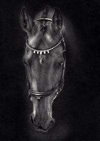 Obraz do salonu artysty Magdalena Muraszko-Kowalska pod tytułem Carette