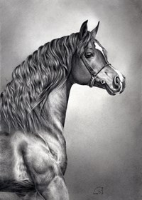 Obraz do salonu artysty Magdalena Muraszko-Kowalska pod tytułem Ames