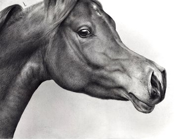 Obraz do salonu artysty Magdalena Muraszko-Kowalska pod tytułem Rihanna Mia