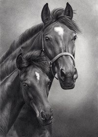 Obraz do salonu artysty Magdalena Muraszko-Kowalska pod tytułem Czeremcha