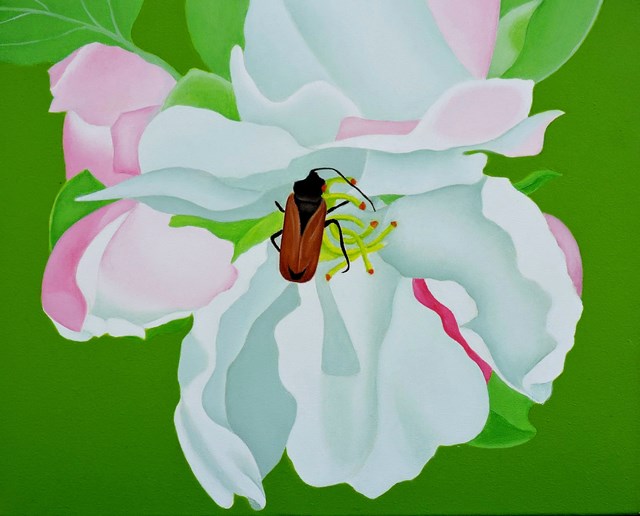 Living room painting by Antoni Janusz Wojnarowski titled Flower and beetle
