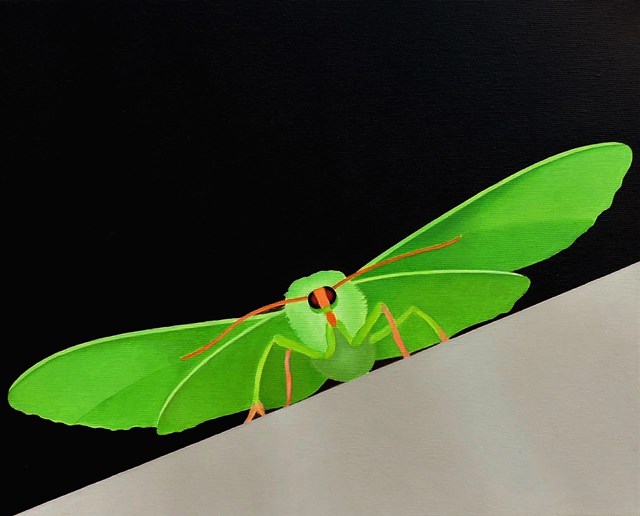 Living room painting by Antoni Janusz Wojnarowski titled Moth