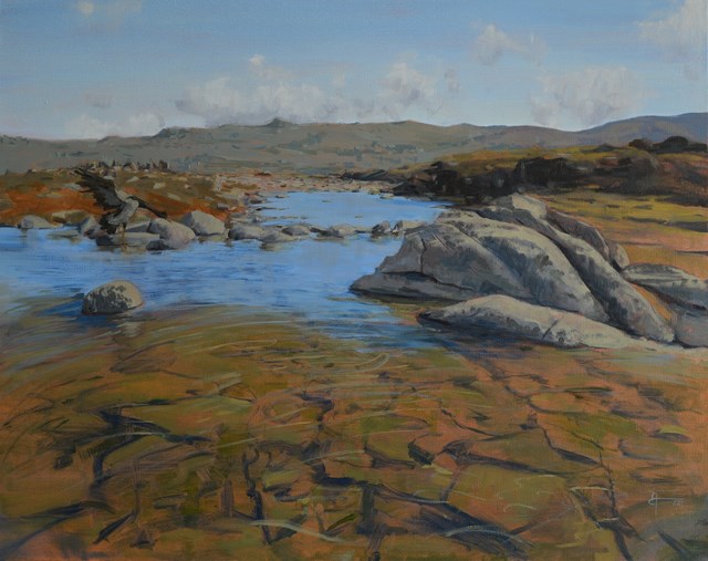 Living room painting by Andrew John Stewart titled Kosciuszko National Park with Magpie Goose