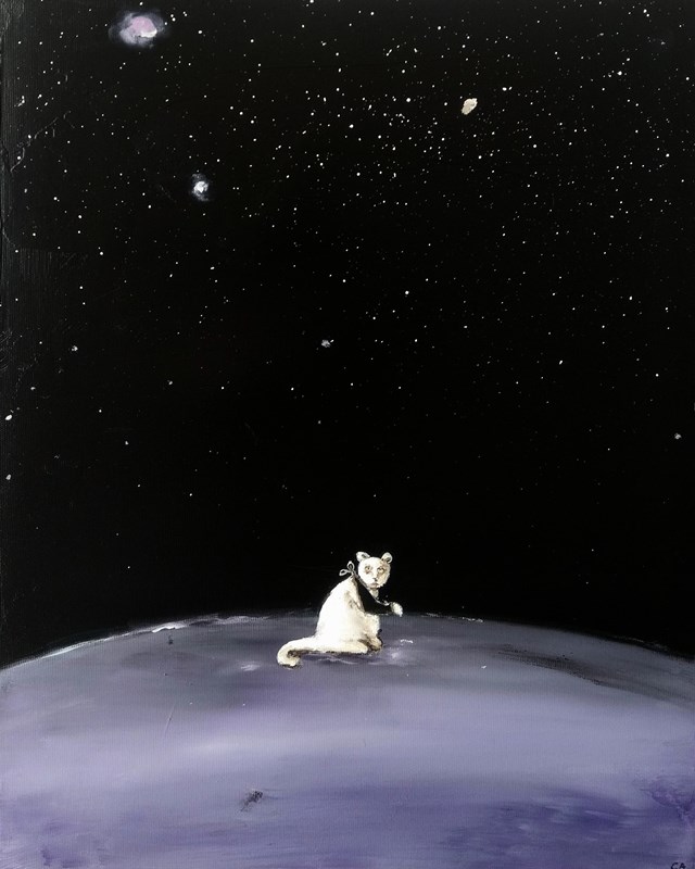 Obraz do salonu artysty Andrzej Cybura pod tytułem Kot Maciej